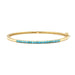 Classic Turquoise Bangle