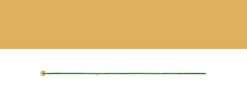 Signature Charm Bracelet in Kelly Green