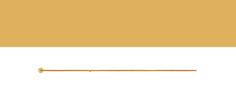 Signature Charm Bracelet in Orange