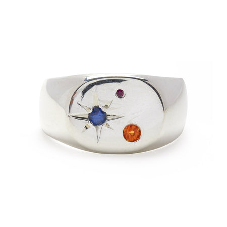 Seal Signet Ring in Silver with Mixed Stones